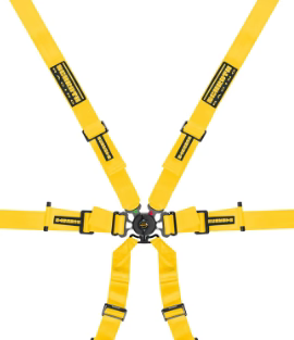 Schroth Flexi 2x2 6 Point Racing Harness| Porsche GT3/GT4