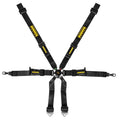 Schroth Flexi 2x2 6 Point Racing Harness| Porsche GT3/GT4