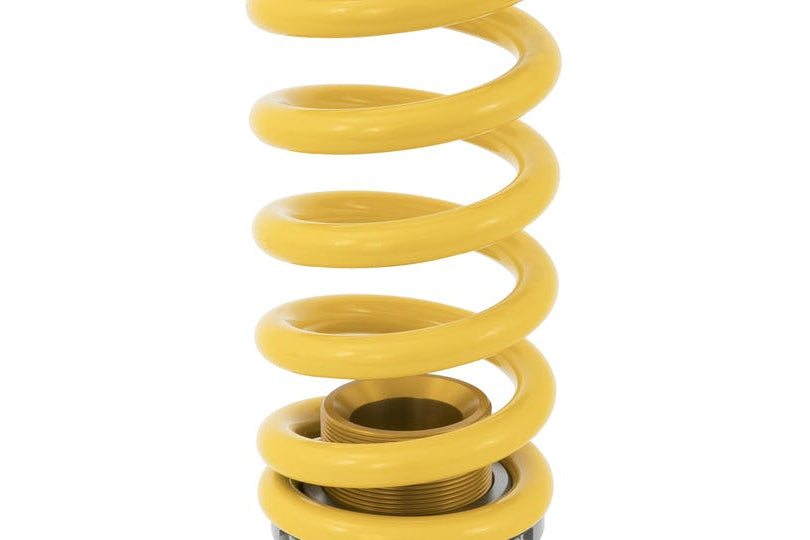 Ohlins FK8 / FL5 CIVIC TYPE-R Coilover Suspension - Road & Track